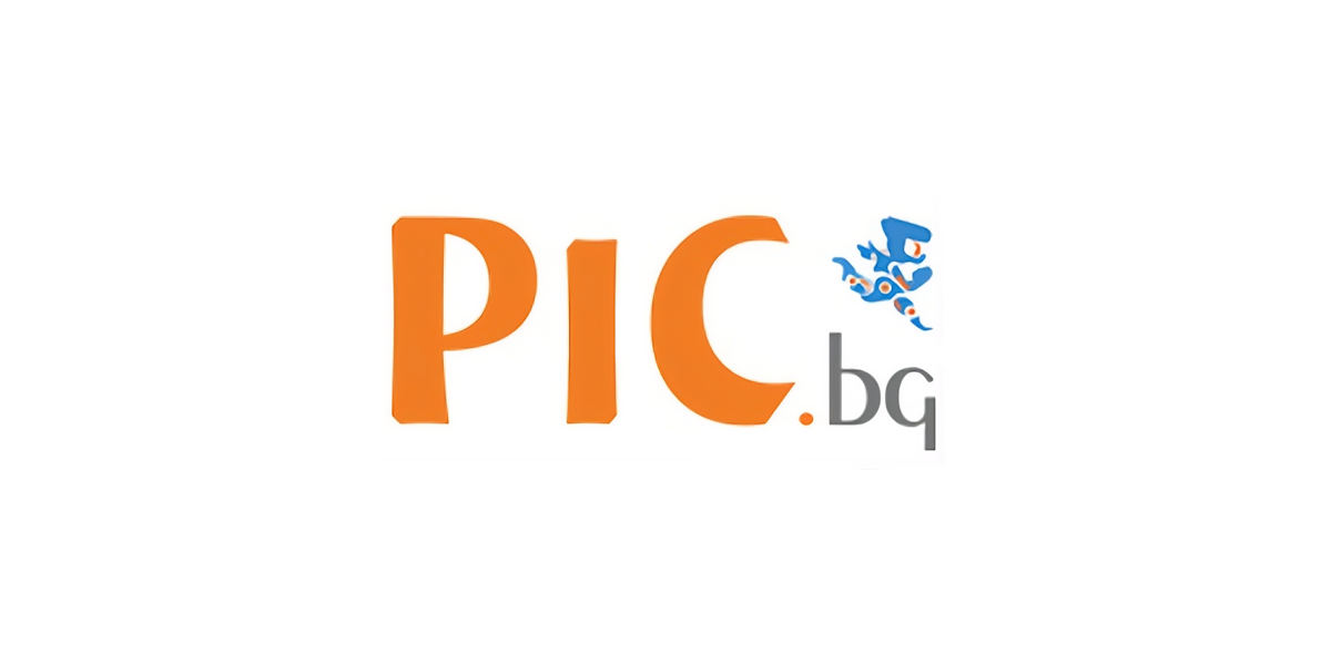 PIC.bg logo